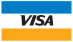 mini Logo visa
