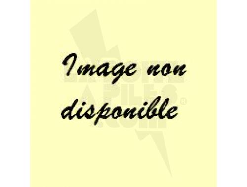 BATTERIE DE REMPLACEMENT 6V 1100MAH