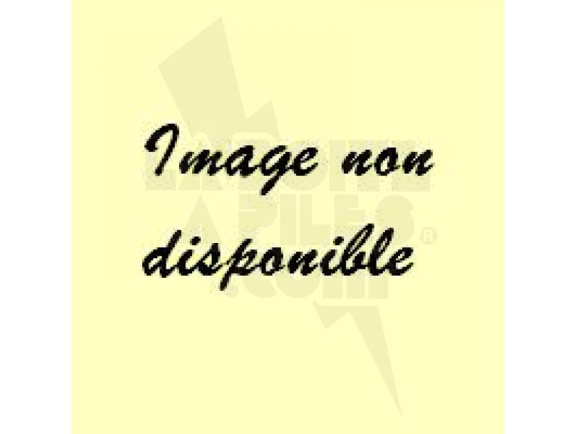 BATTERIE DE REMPLACEMENT 6V 1100MAH img.jpg