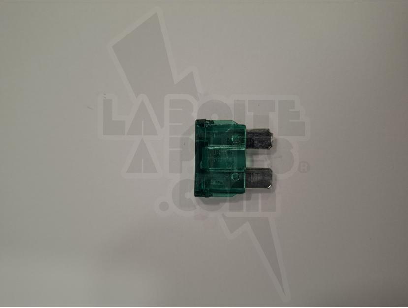 FUSIBLE STANDARD 30A - VERT img.jpg