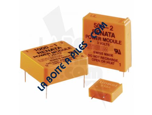 MODULE RENATA 3V