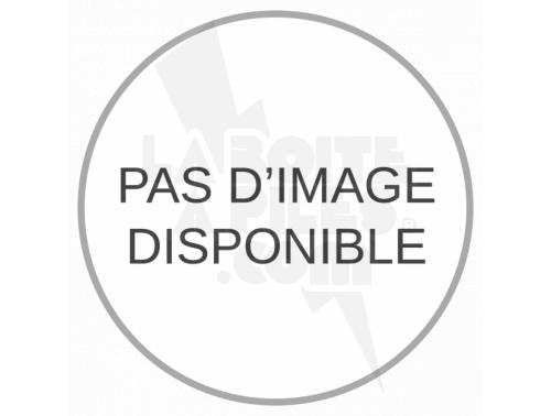 PILE LITHIUM 3.6V AVEC CONNECTEUR