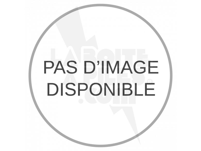 PILE LITHIUM 3.6V AVEC CONNECTEUR img.jpg