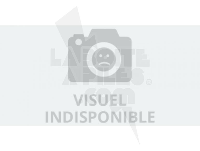 VALISE ADAPTATEUR R14-R20+CHARGEUR+ACCUS img.jpg