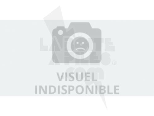 BATTERIE 3.8V BL-59UH