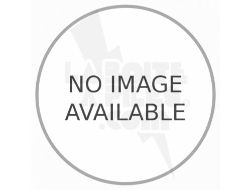 PILE LITHIUM 3.6V - 4.4AH - HAUTE TEMPÉRATURE